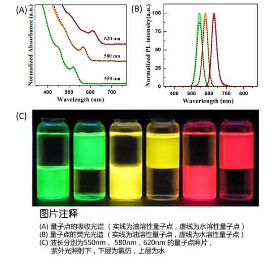 水溶性CdSe/ZnS量子點
