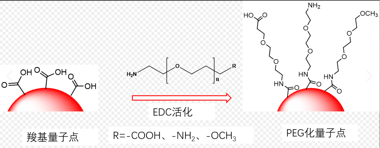 NH2-PEG修飾CdSe/ZnS量子點(diǎn)