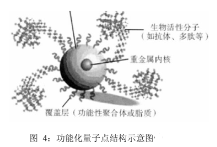 馬來酰亞胺MAL功能化PbS量子點