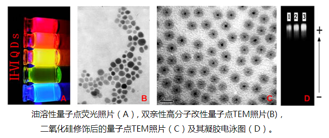 PEG-NH2修飾水溶性量子點(diǎn)