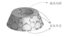 環糊精 
