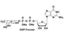 Guanosine 5'-diphospho-fucose 5'-鳥苷二磷酸-L-巖藻糖二鈉鹽 15839-70-0