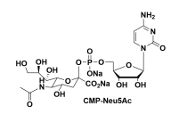 5`-單磷酸腺嘌呤核苷-唾液酸二鈉鹽 5‘-單磷酸酯N-乙酰基神經氨酸