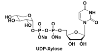 UDP-Xyl.2Na 尿苷二磷酸木糖,鈉鹽，108320-89-4，3616-06-6