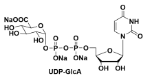 UDP-D-GLUCURONIDE TRISODIUM SALT UDP-葡萄醛酸三鈉鹽 UDP-葡萄糖醛酸三鈉鹽