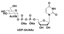 5′-二磷酸尿嘧啶核苷-N-乙酰半乳糖胺二鈉鹽BR，UDPAGSODIUMSALT