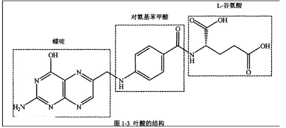 巖藻多糖-葉酸