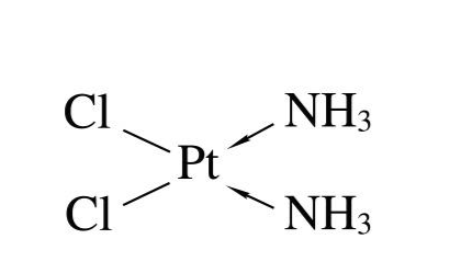 順鉑修飾巖藻多糖 Fucoidan-cisplatin