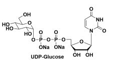 尿苷-5'-二磷酸葡萄糖二鈉，Uridine-5?-diphosphoglucose, 2Na, UDP-Glc