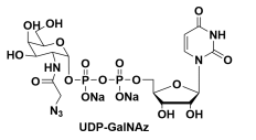 尿苷5'-二磷酸-N-乙酰疊氮氨基半乳糖胺二鈉鹽，UDP-GalNAz，UDP-GalNAz.2Na，CAS#: 653600-61-4
