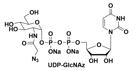 尿苷5'-二苯基-N-乙酰基疊氮葡糖胺二鈉鹽，Uridine 5’-diphopho-N-acetylazidoglucosamine disodium salt