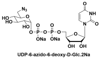 UDP-6-azido-6-deoxy-D-Glucosedisodiumsalt，雙磷酸尿苷-6-疊氮-6-脫氧-D-葡糖酯