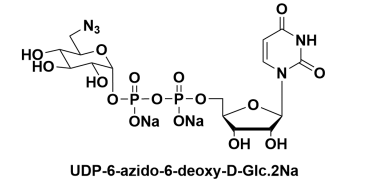 CAS:868141-12-2，UDP-6-N3-Galactose，UDP-6-疊氮-6-脫氧-D-半乳糖二鈉鹽 