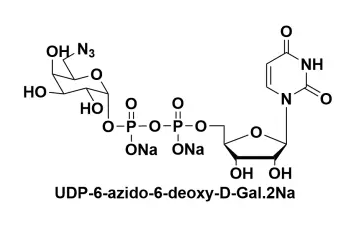 UDP-6-疊氮-6-脫氧-D-半乳糖二鈉鹽，UDP-6-azido-6-deoxy-D-Galactose disodium salt