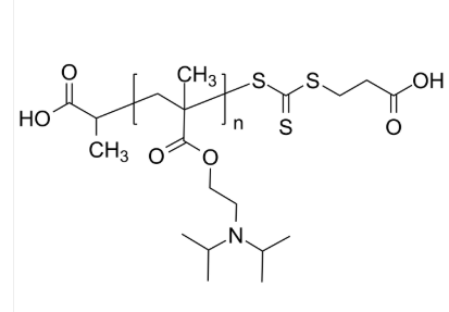 PDIPAEMA-2COOH