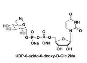UDP-6-N3-GlcNAc，UDP-N-疊氮修飾乙酰基葡萄糖胺，疊氮修飾尿苷二磷酸-N-乙酰基葡萄糖胺