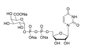 尿苷5′-二磷酸三鈉鹽二鈉鹽，UDP-GalA.3Na，Uridine5'-diphospho-galuronicacidtrisodium