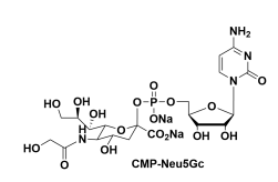 cas1955-26-6，UDP-rhamnose，尿苷二磷酸鼠李糖，二磷酸尿苷鼠李糖酯