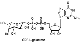 核苷酸標記半乳糖，尿苷二磷酸修飾半乳糖，GDP-L-半乳糖，GDP-L-galactose，CAS:16689-00-2