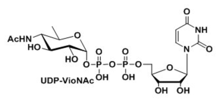 UDP-VioNAc,UDP-ManNAcA,Uridine 5′-diphospho-N-acetyl-D-mannosaminuronic acid Disodium Salt? UDP-VioNAc,UDP-ManNAcA,Uridine 5′-diphospho-N-acetyl-D-mannosaminuronic acid Disodium Salt?