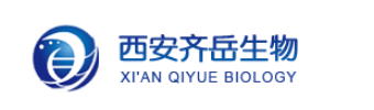 羧基修飾木聚糖