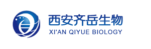 人血清低密度脂蛋白修飾葡聚糖