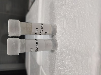 羧甲基殼聚糖偶聯(lián)Fe3O4磁性復(fù)合物