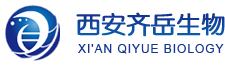 Cy7.5-PLGA，花菁染料熒光標記聚乳酸-羥基乙酸共聚物