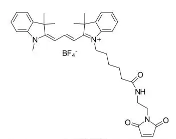 磺基-CY3-馬來酰亞胺