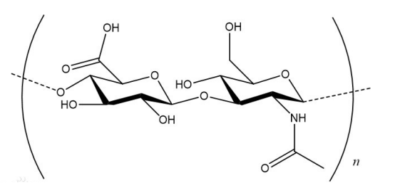 Ce6-Hyaluronicacid 透明質(zhì)酸-光敏劑Ce6