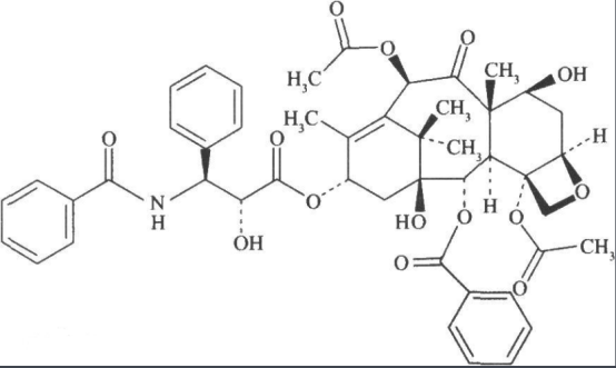 多巴胺修飾紫杉醇