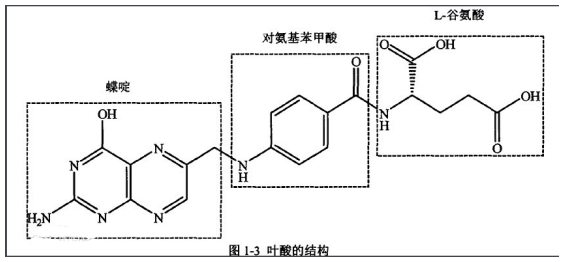 阿霉素-葉酸