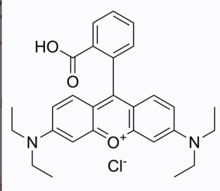 喜樹堿-聚乙二醇-羅丹明B