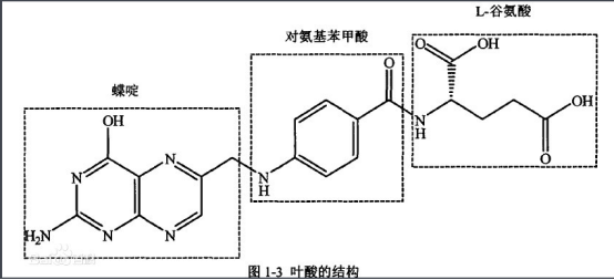 葉酸-PEG-喜樹堿