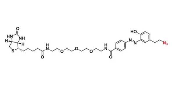 CAS: 1339202-33-3，Diazo Biotin-PEG3-azide/N3，重氮生物素-疊氮化物的描述