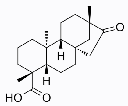 cas:27975-19-5 Isosteviol 異甜菊醇 