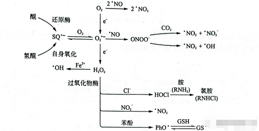 微信截圖_20230330133657.png