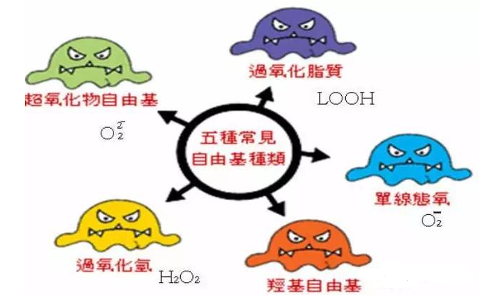 活性氧類