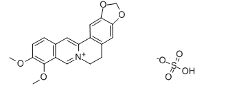 活化氧Berberine Sulfate，硫酸小檗堿，CAS：633-66-9