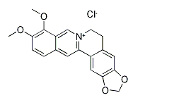 活化氧Berberine hydrochloride,鹽酸小檗堿,CAS:633-65-8