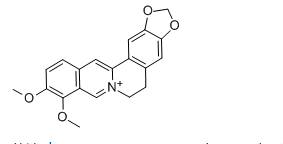 活化氧黃蓮素，Berberine，CAS：2086-83-1