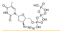 活化氧AZT triphosphate，CAS：92586-35-1，分子式C10H16N5O