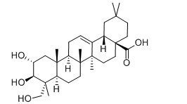 活化氧Arjunolic Acid，阿江欖仁酸，CAS：465-00-9