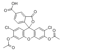5(6)-Carboxy-2′,7′-dichlorofluorescein diacetate，5[6]-羧基-2',7'-二氯熒光素二乙酸酯，127770-45-0