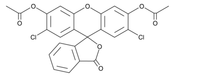 活化氧2',7'-Dichlorofluorescein diacetate，雙氯熒光黃乙酸乙，2044-85-1