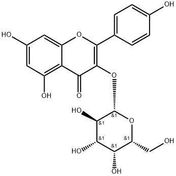 活化氧ROS分子kaempferol-3-O-galactoside三葉豆苷，CAS：23627-87-4
