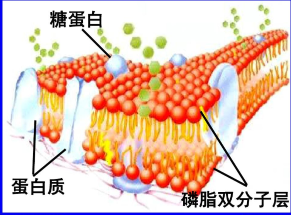 QQ截圖20230407160742.png