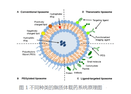 DOPC+膽固醇脂質體