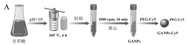 甘草酸納米粒GANPs