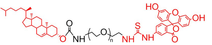 膽固醇 聚乙二醇 熒光素 、膽固醇PEG熒光素、Cholesterol-PEG-FITC